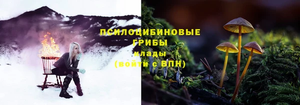 дурь Алзамай