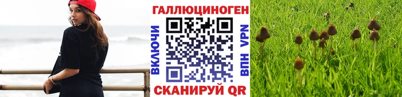 МЕГА онион  Александров  Галлюциногенные грибы мицелий 