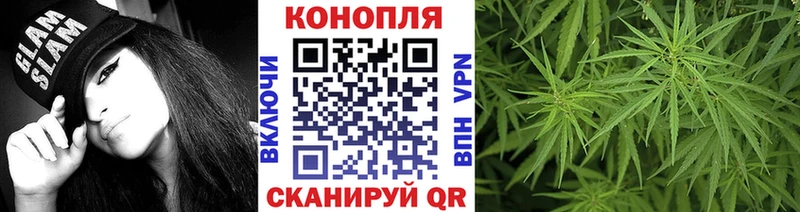 Бошки марихуана планчик  гидра вход  Александров  купить наркотики цена 